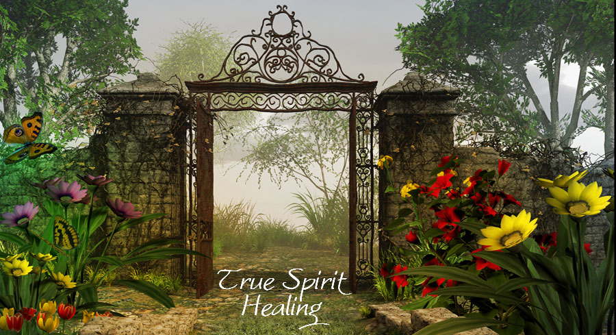 transformational healing dr robbie o'dwyer